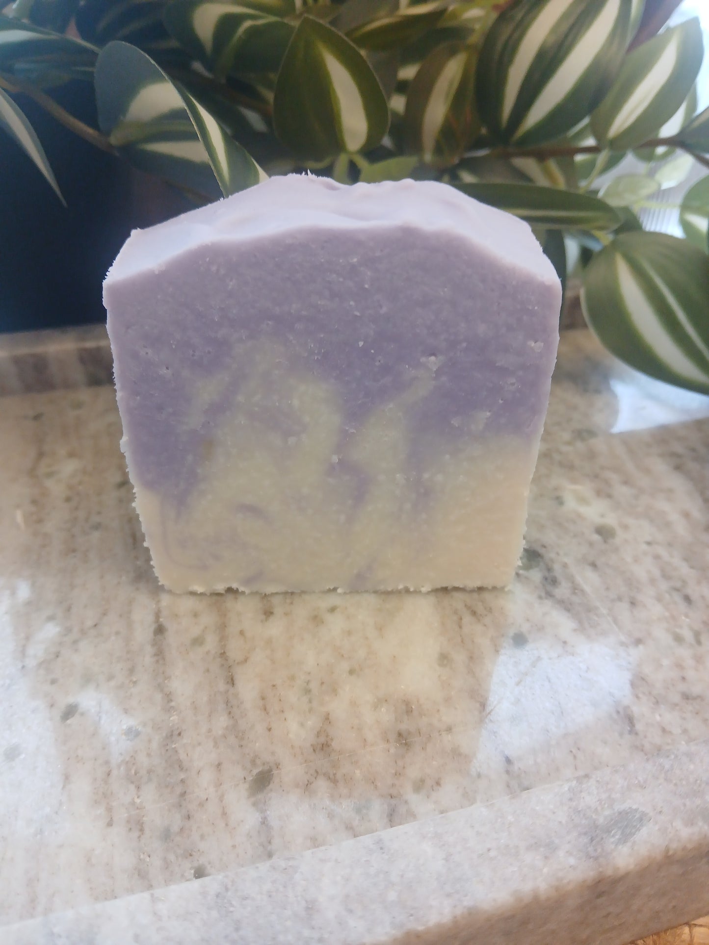 Lavander cold process soap