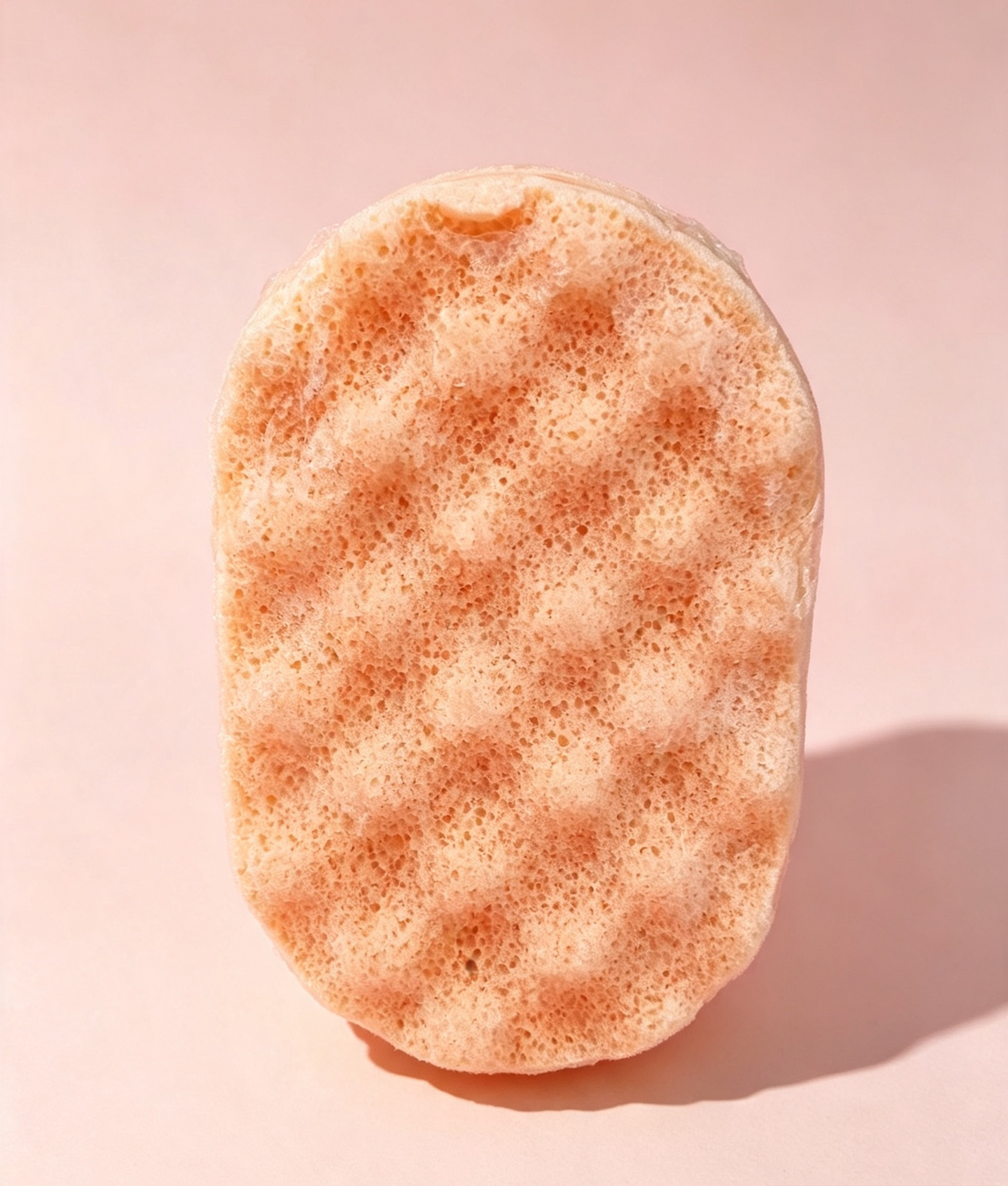 Sweet pumkin soap sponge