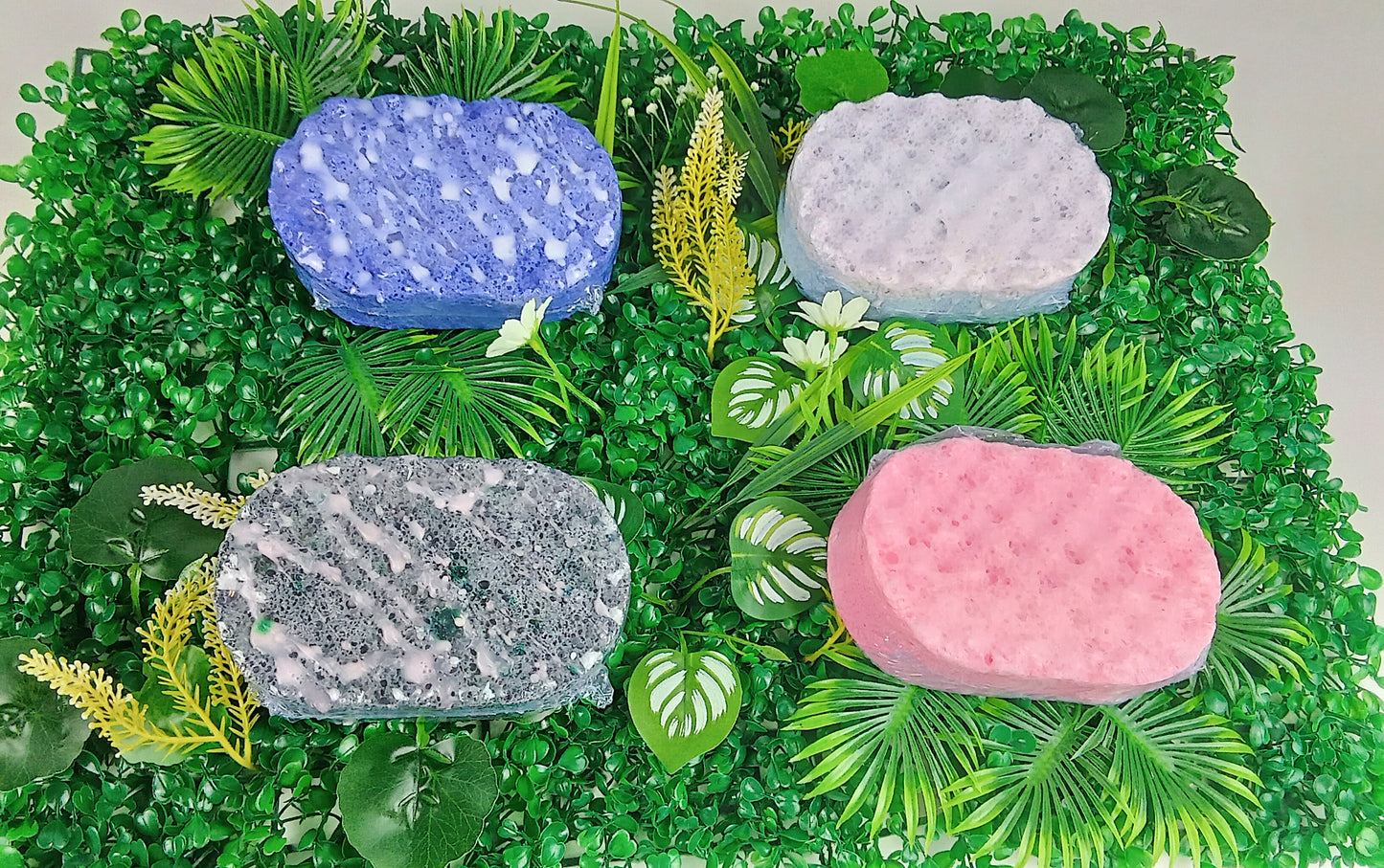 Soap sponges fruity